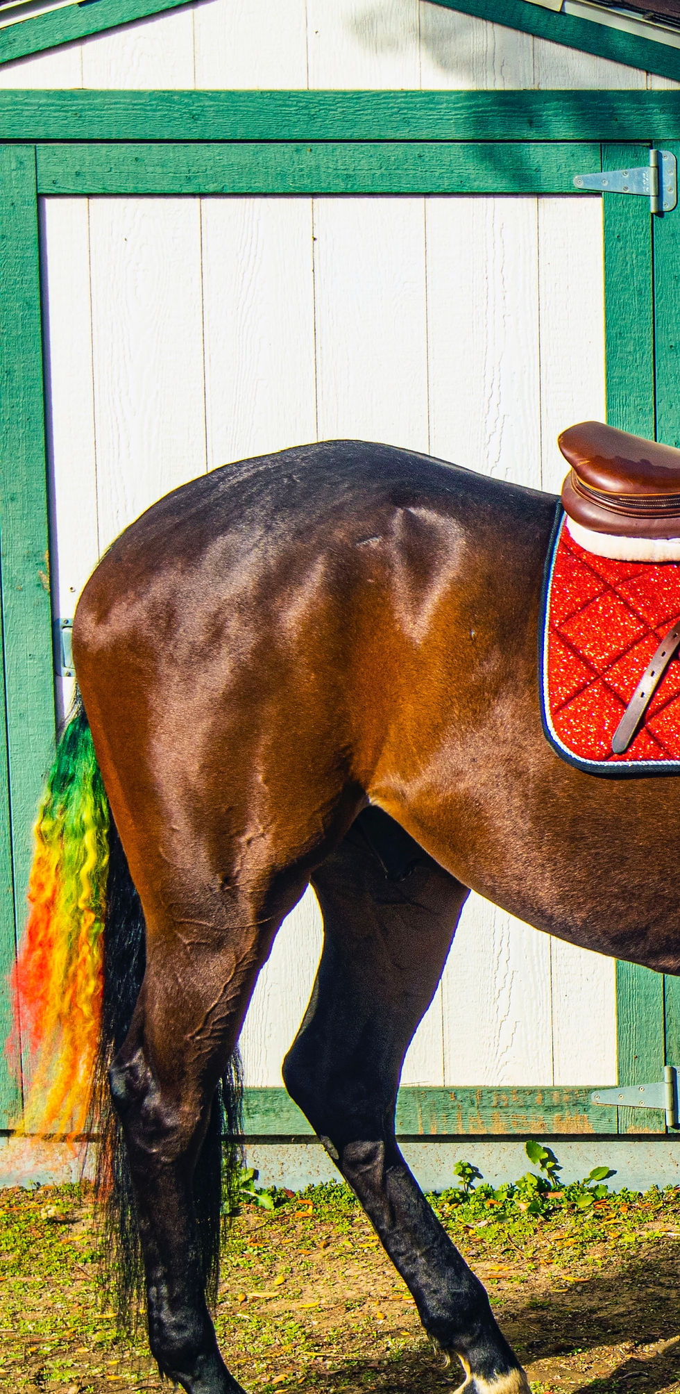 Thumbnail: Unique Ombre Equi-Tails