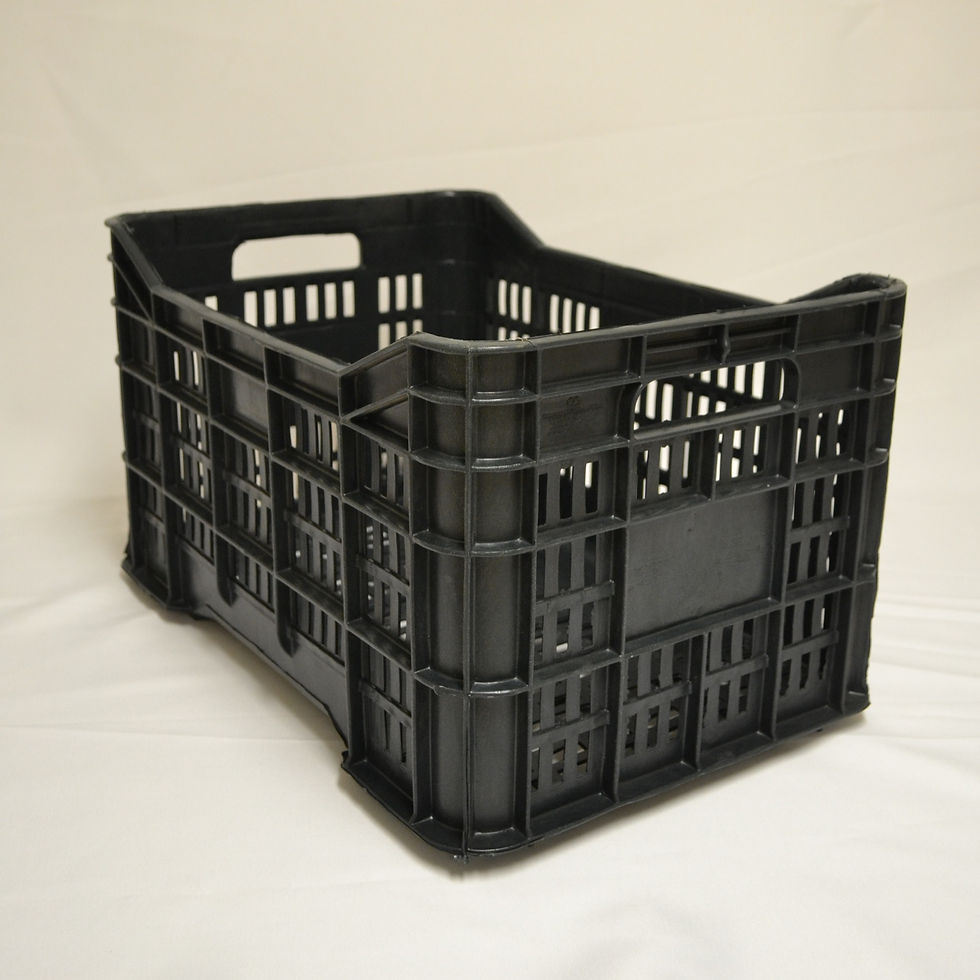 Caja Agrícola de Plástico Abierta