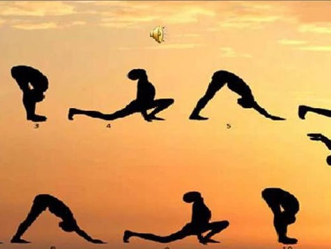 Stay Fir, Live Healthy & Feel Young Series 15