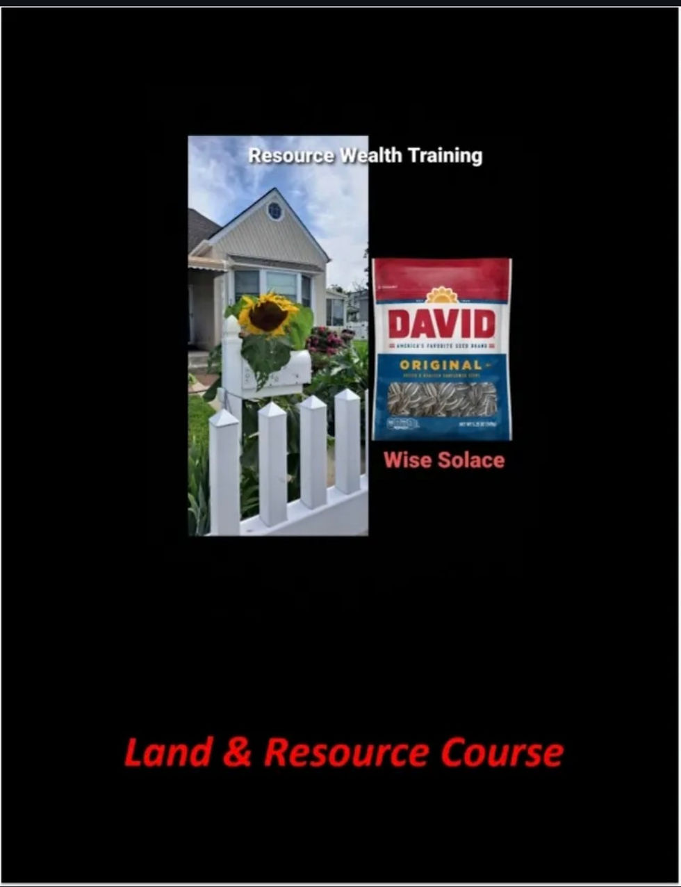 Thumbnail: RDF Book: Removing Debt Forever 
