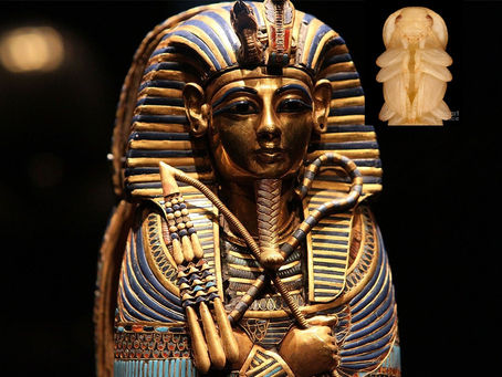 FLY - PHAROAH sneek peek