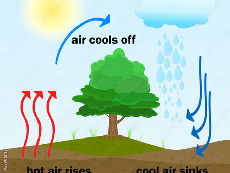 Self Perfection 101: The Airs Within Self