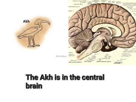 Self Perfection Course: Mental Birth