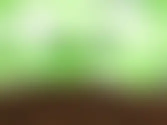 Daily Inspirations w/ Mr. Solace: Soil 4 Self Wisdom