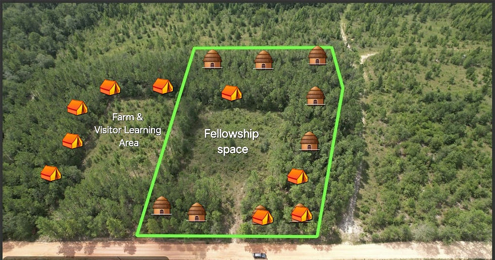 Solace Sanctuary Donation