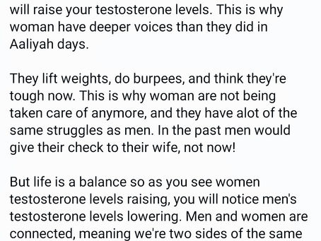 Wise Solace Philosophy