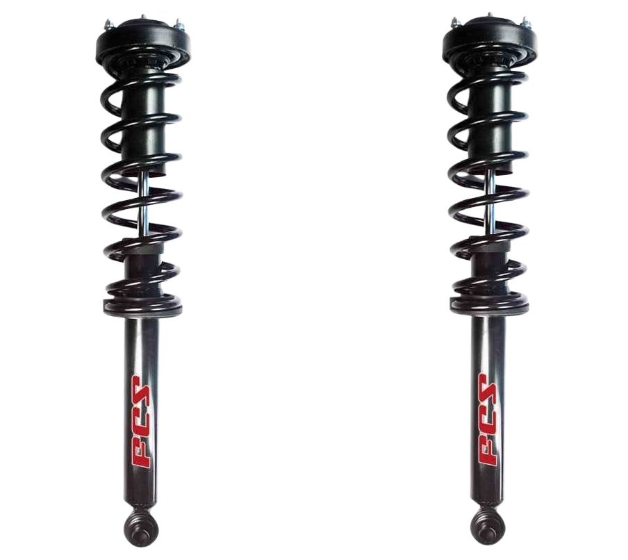 2x Rear Shock Absorber Complete for BMW 525I 528I 530I 540I 1998-2003 RA/665RP