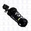 Thumbnail: 2x Rear Shock Absorber Complete for KIA SPECTRA 2001-2004 RA/074RP