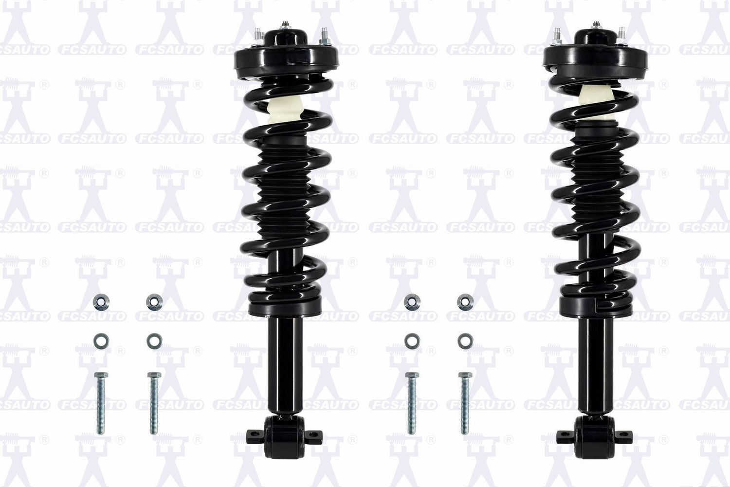2x Front Shock Absorber Complete for FORD F-150 2015-2020 RA/723RP
