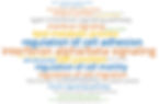 avatar altered gene expression profiles from prostate cancer cells.png