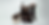 E08A9941-Edit.png