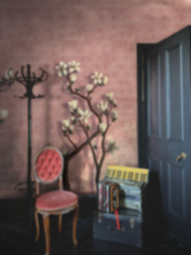 Magnolias - Pink     from £58 per m²