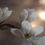 Thumbnail: Magnolias - Champagne     from £58 per m²