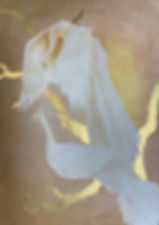 White Peacock Fine Art Giclee Print A2 - Hand Gilded 24ct
