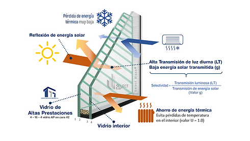 Ilustración AP.PNG