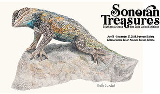 Sonoran Treasure 16x9.jpg