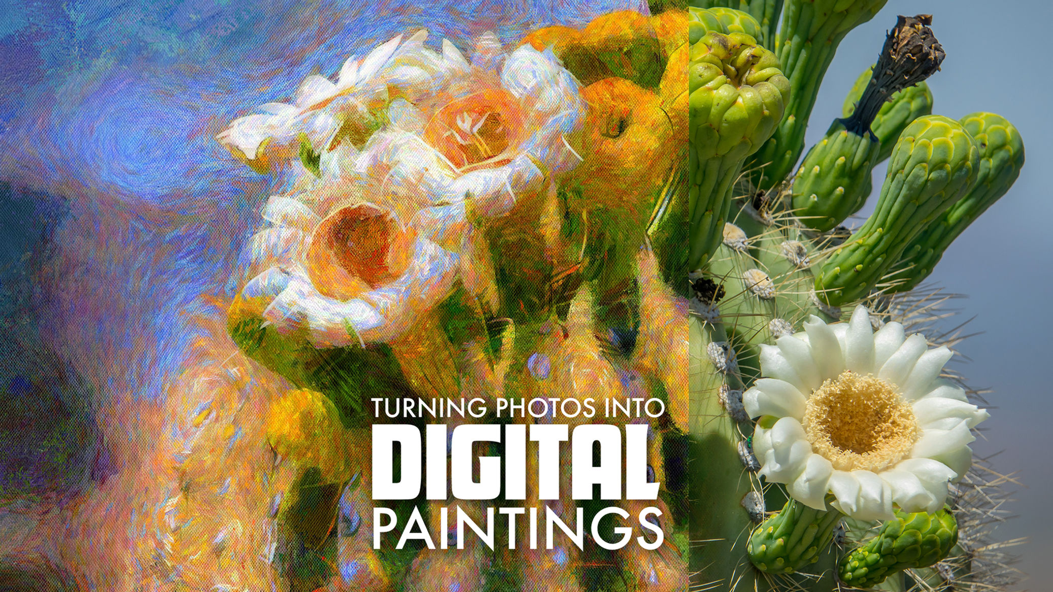 Turning Photos into Digital Paintings 3/1/26