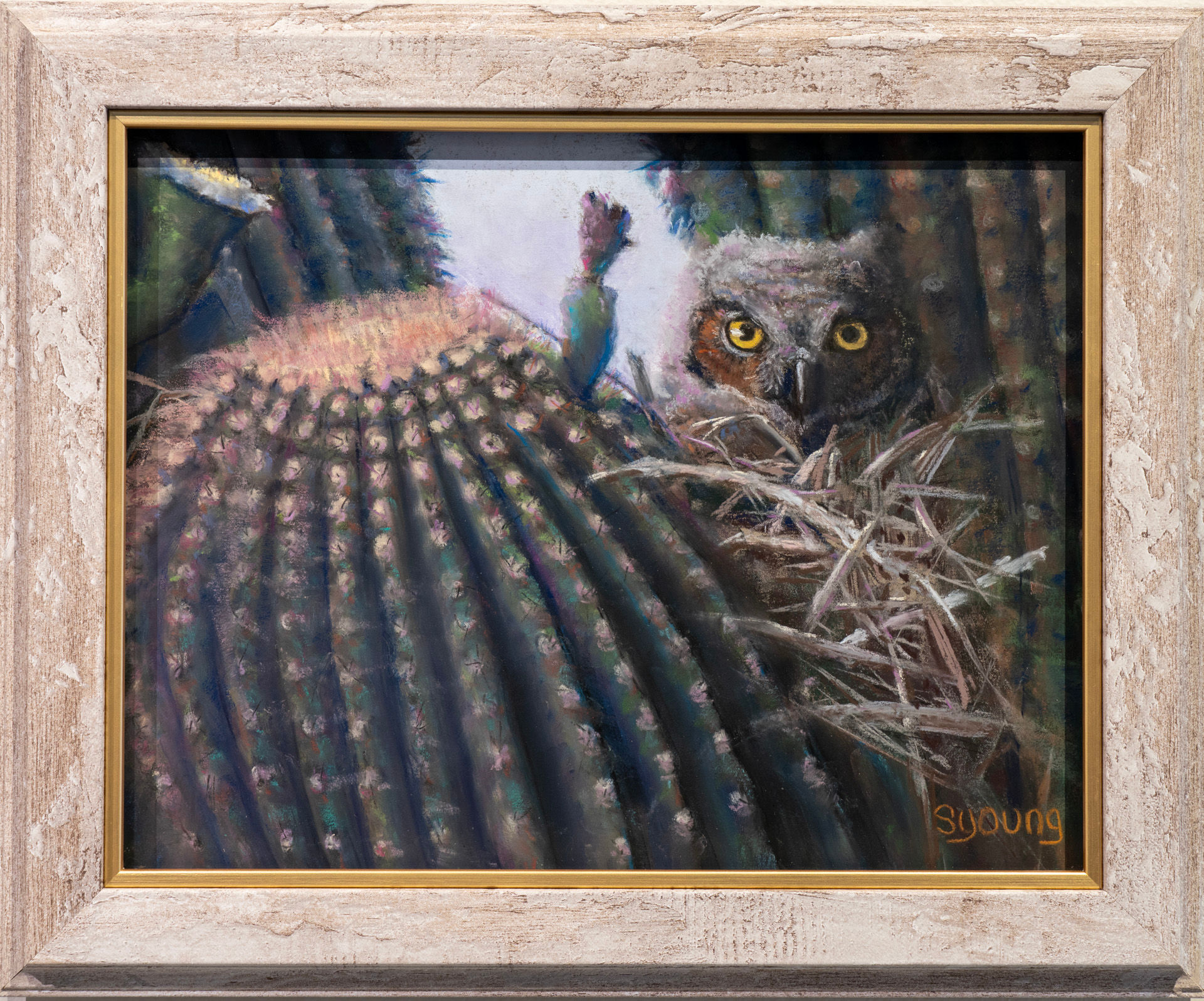Great Horned Owl Fledgling