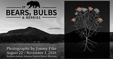 Jimmy Fike 16x9-1920.jpg
