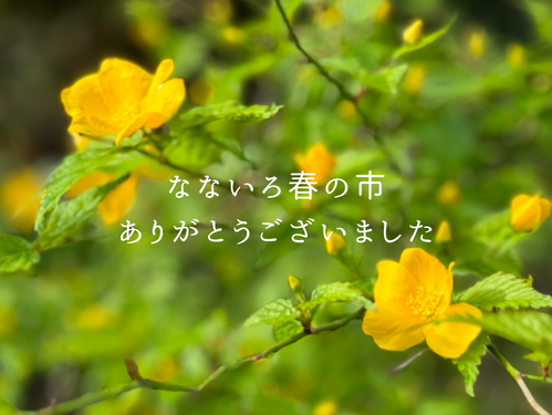 なないろ春の市 ありがとうございました