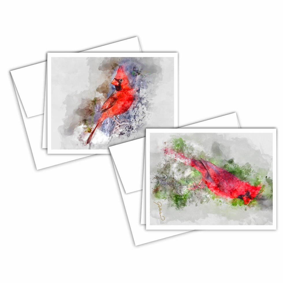 Thumbnail: Watercolor Cardinal Notecards