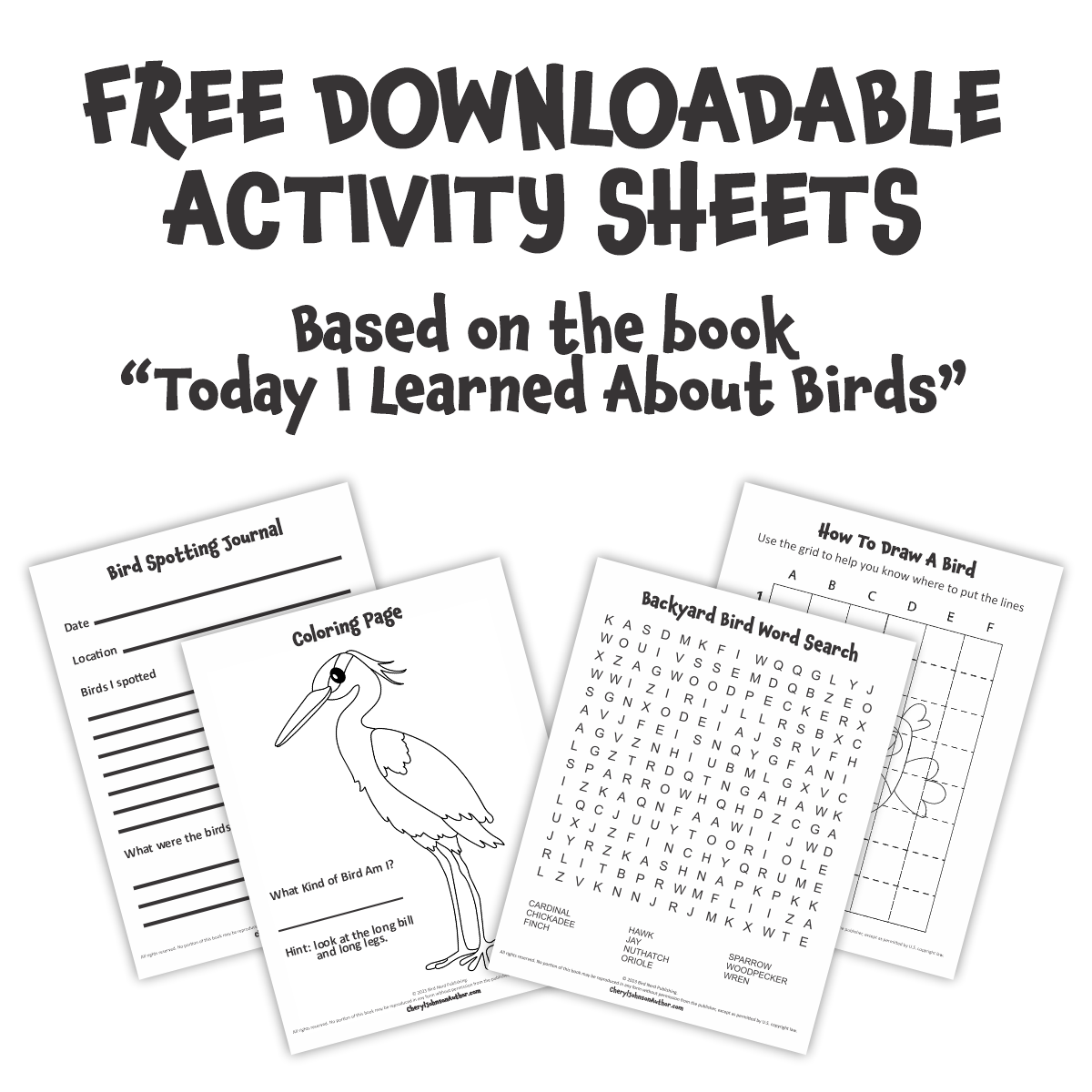 Activity Sheets - Today I Learned About Birds