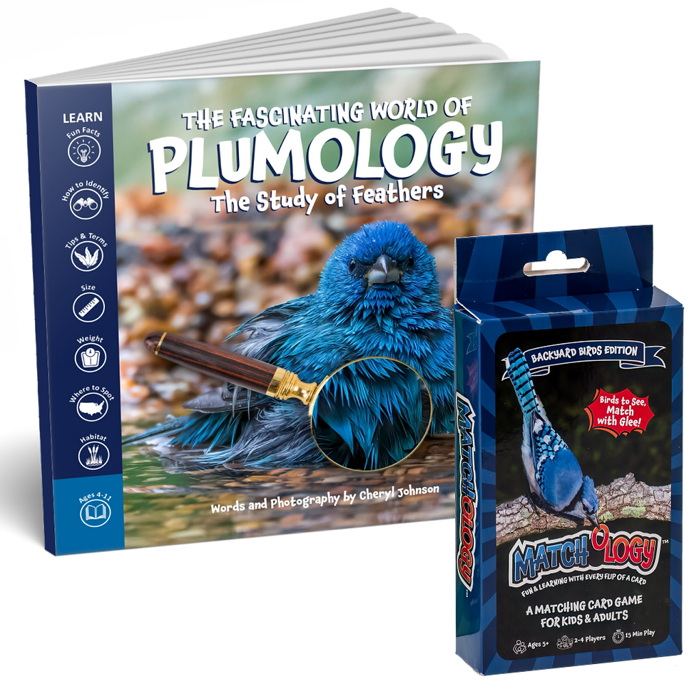 Thumbnail: Plumology