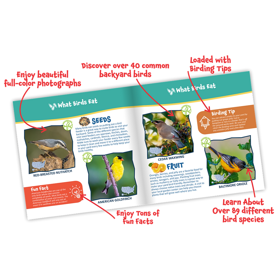 Thumbnail: Today I Learned About Birds