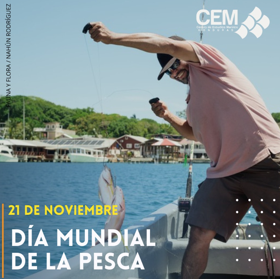 Dia Mundial de la Pesca