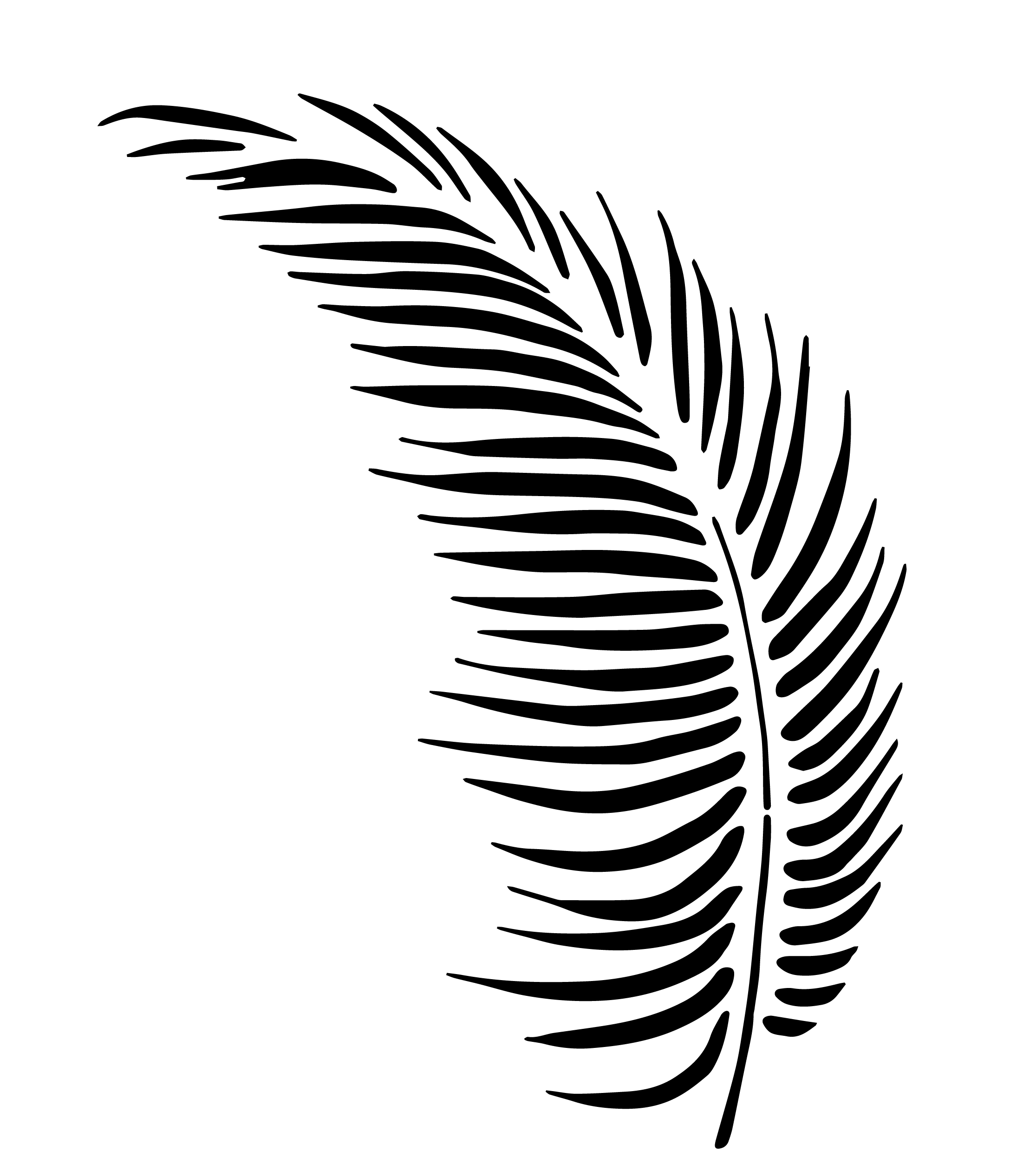 Sablon decorativ reutilizabil A4 - Jungle leaf (1058)
