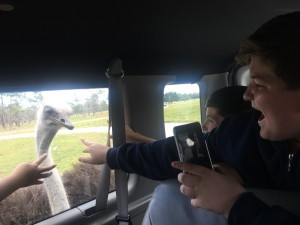 CCA Field Trips
