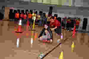 House System CCA