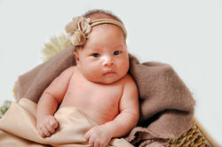 IMG_2199-2 copy