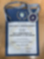 Green CSR Commonwealth Awards 1 - Copy.JPG