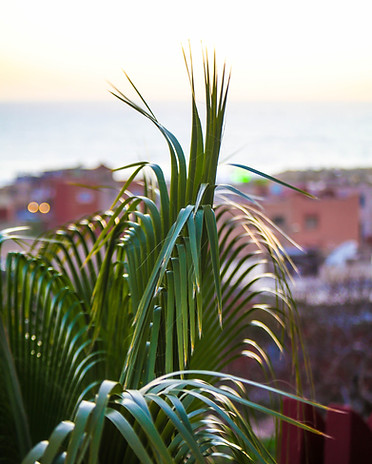 Yoga au coucher du soleil à Imsouane