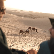 Surfer riding a golden wave at sunset in Imsouane