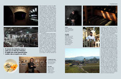 publieditorial ibravin