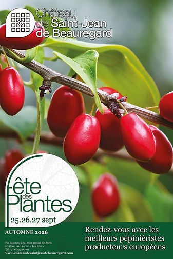 Affiche-FL26_40x60cm_Sans-Sponsors_Web-scaled.jpg