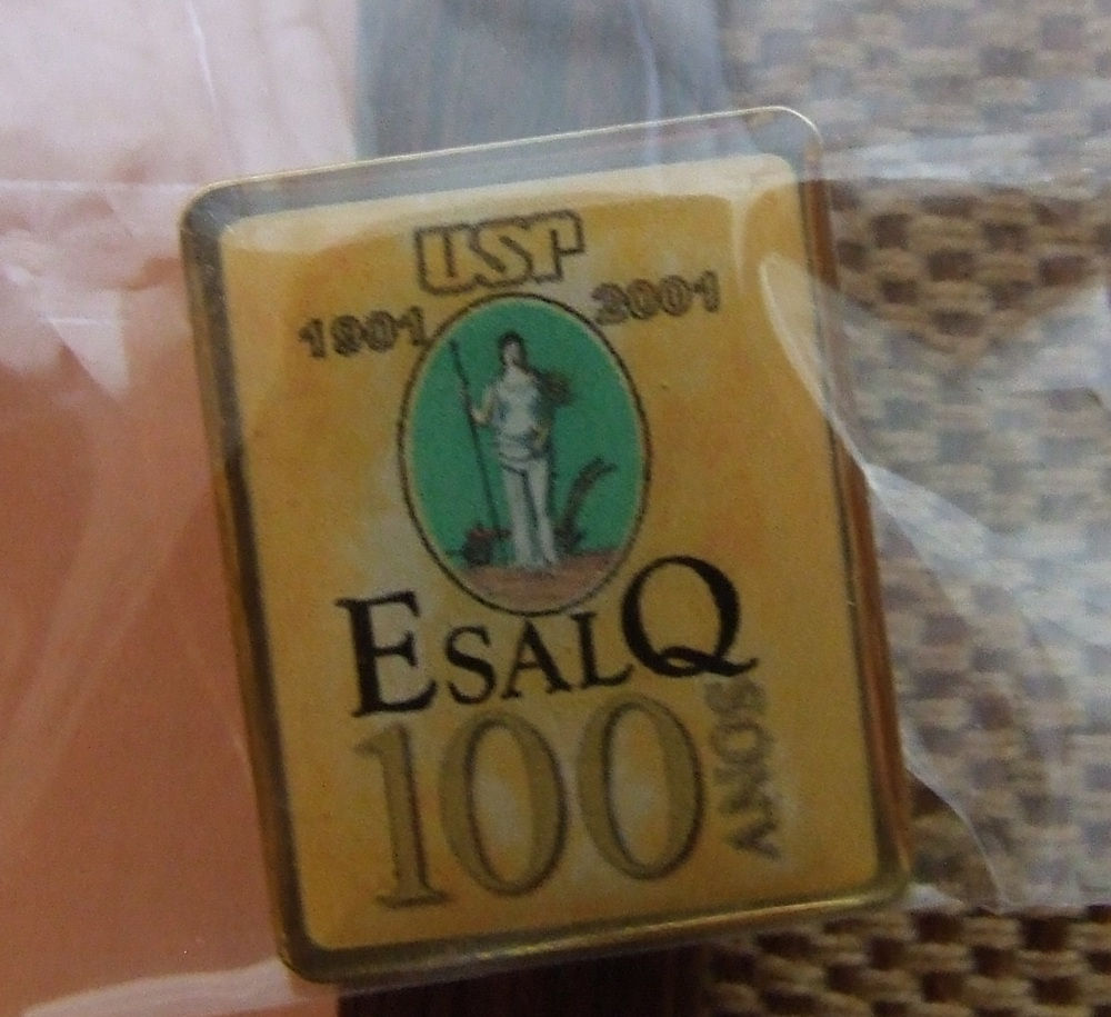 Pin Esalq 100 anos