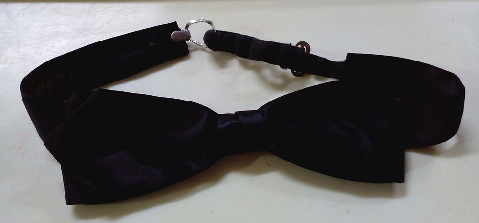 Miniatura: Gravata Borboleta Casa Tavares