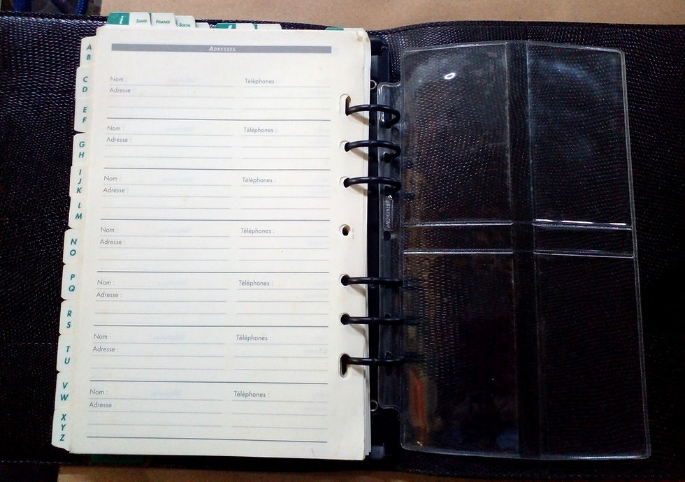 Miniatura: Agenda Fichário