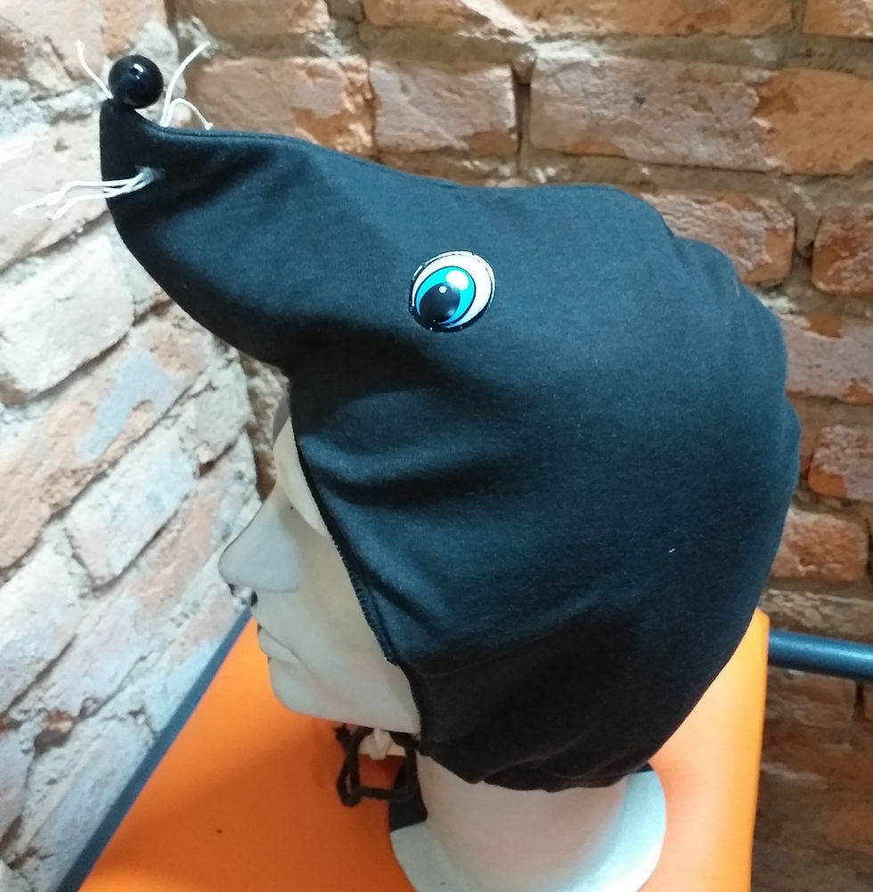 Miniatura: Cabeça de Foca