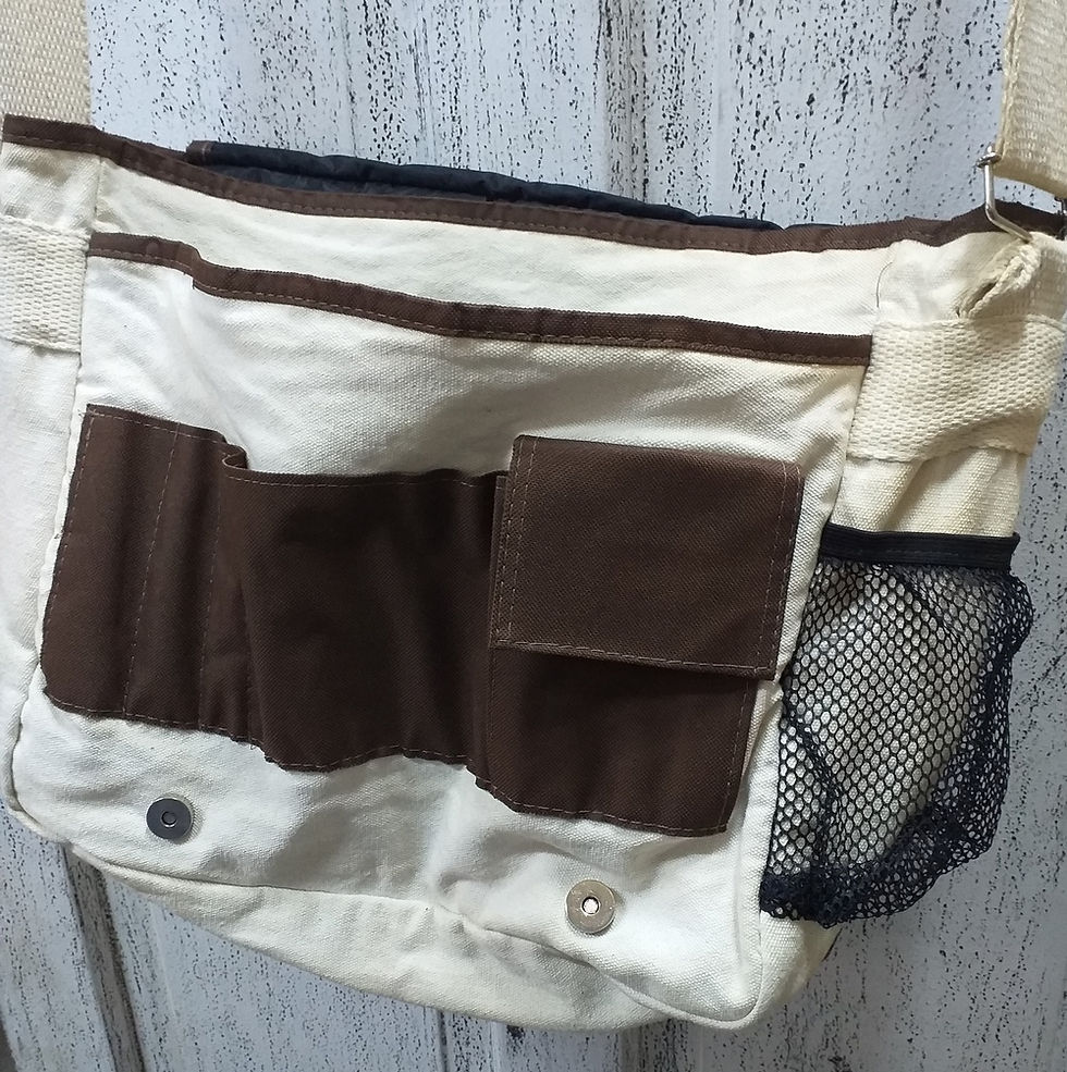 Miniatura: Bolsa USP