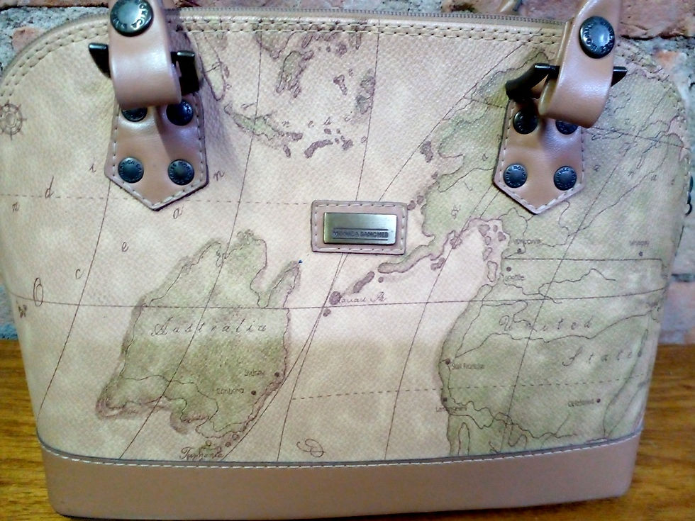 Miniatura: Bolsa Mônica Sanches
