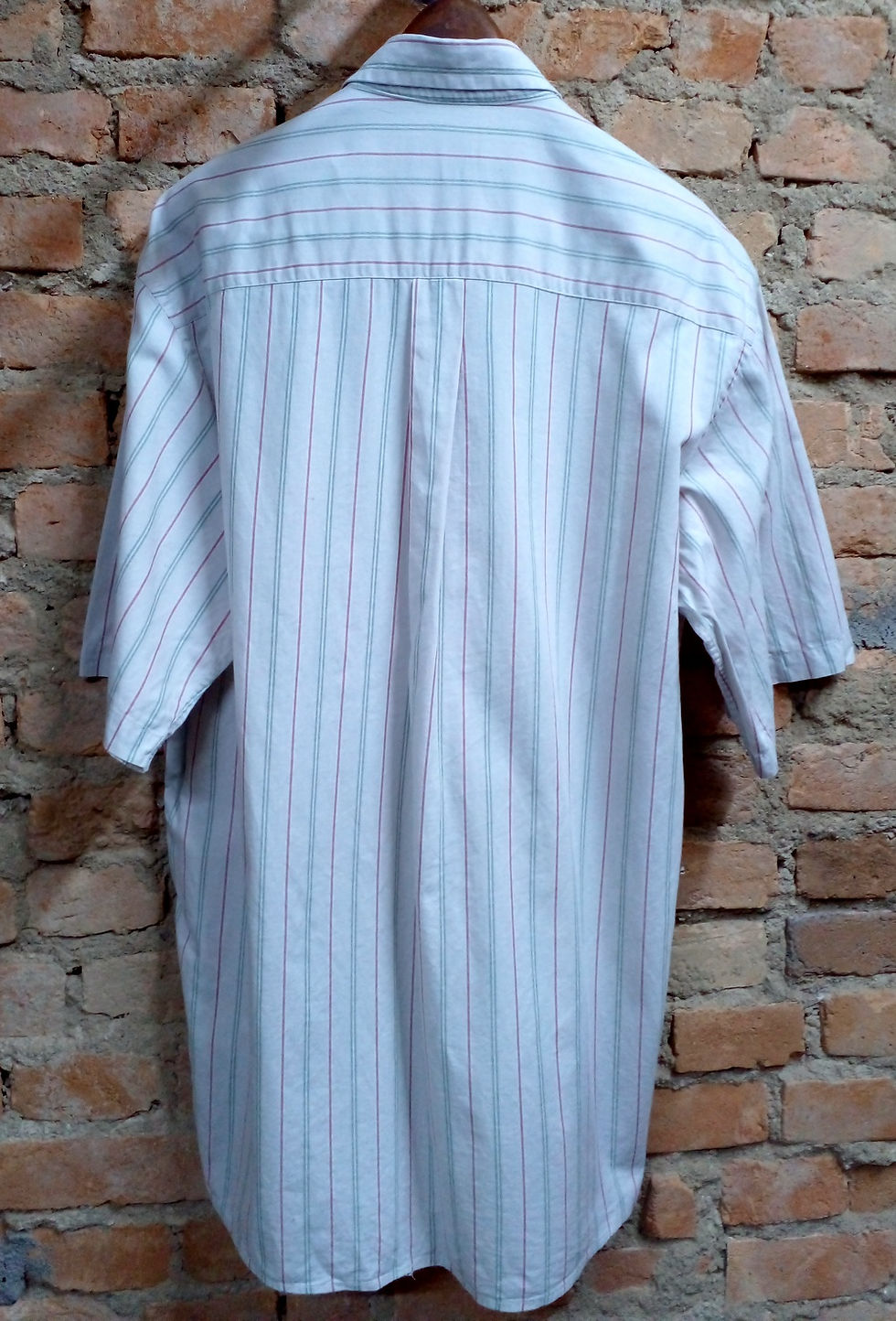 Miniatura: Camisa W. Albann Casual