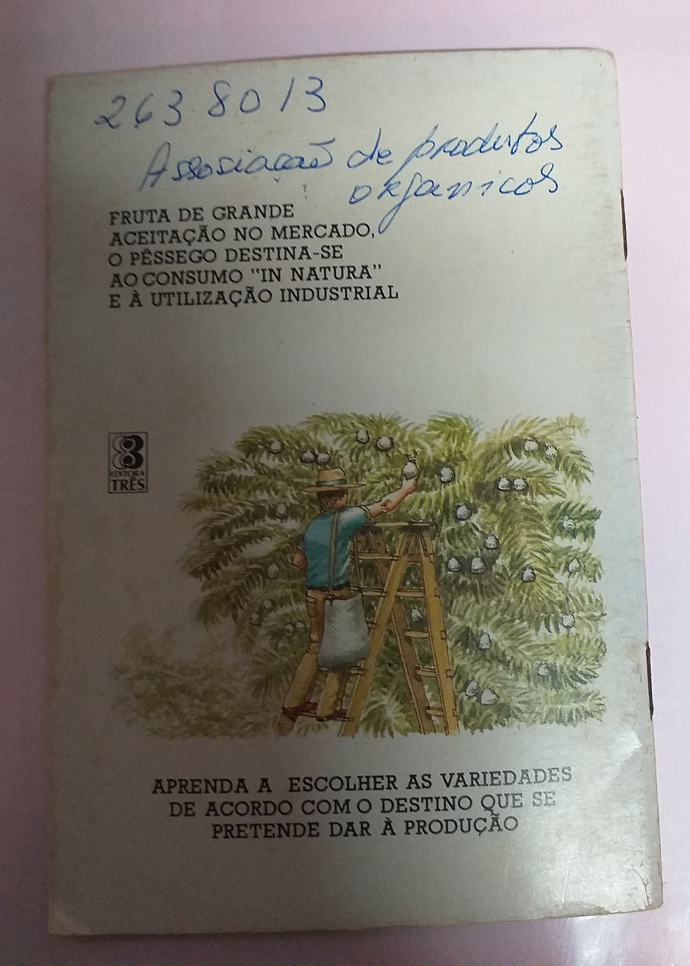 Miniatura: É Fácil Cultivar Pêssego