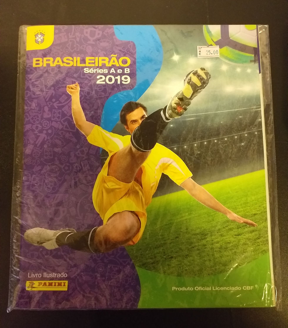 Livro Ilustrado Oficial Brasileirão 2019