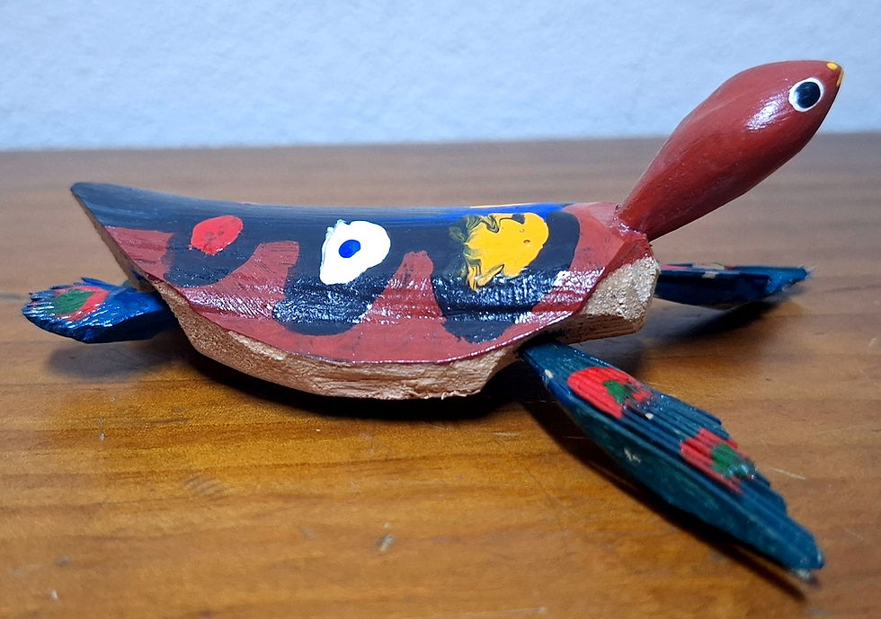 Miniatura: Tartaruga Tok Stok
