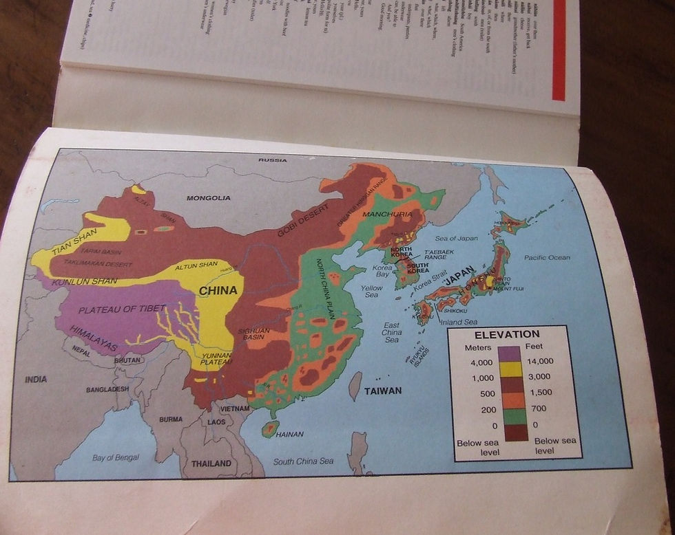 Miniatura: Learn Chinese: Hanyu : the Fast and Fun Way