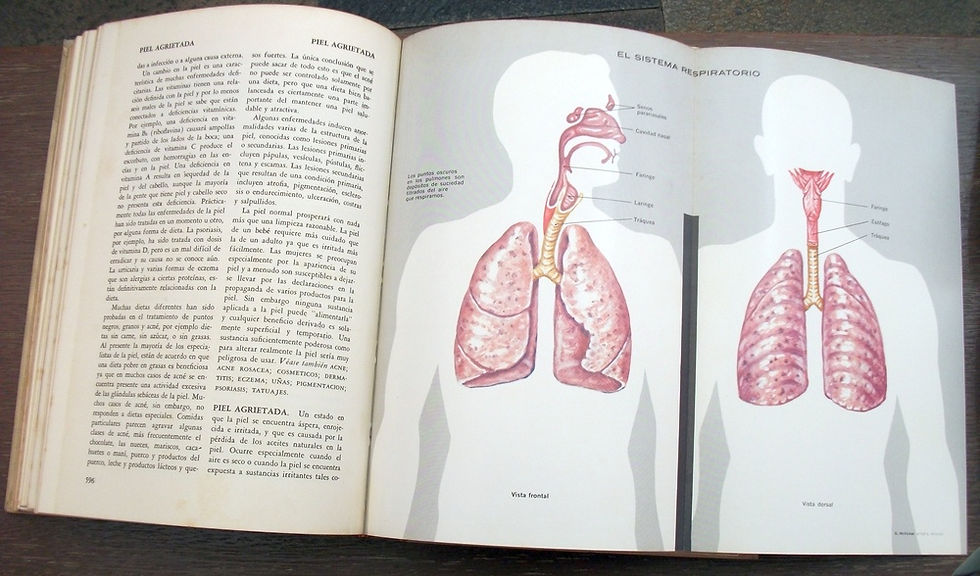 Miniatura: Enciclopedia Familiar de La Medicina y La Salud